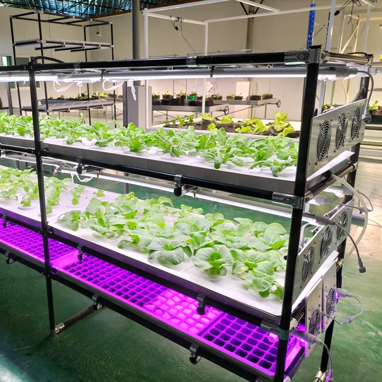 agricultural greenhouses vertical farming 120 x 60 x 7.5 cm flood tray for ebb and flow system 28 holes Dia 5 cm with a cover
