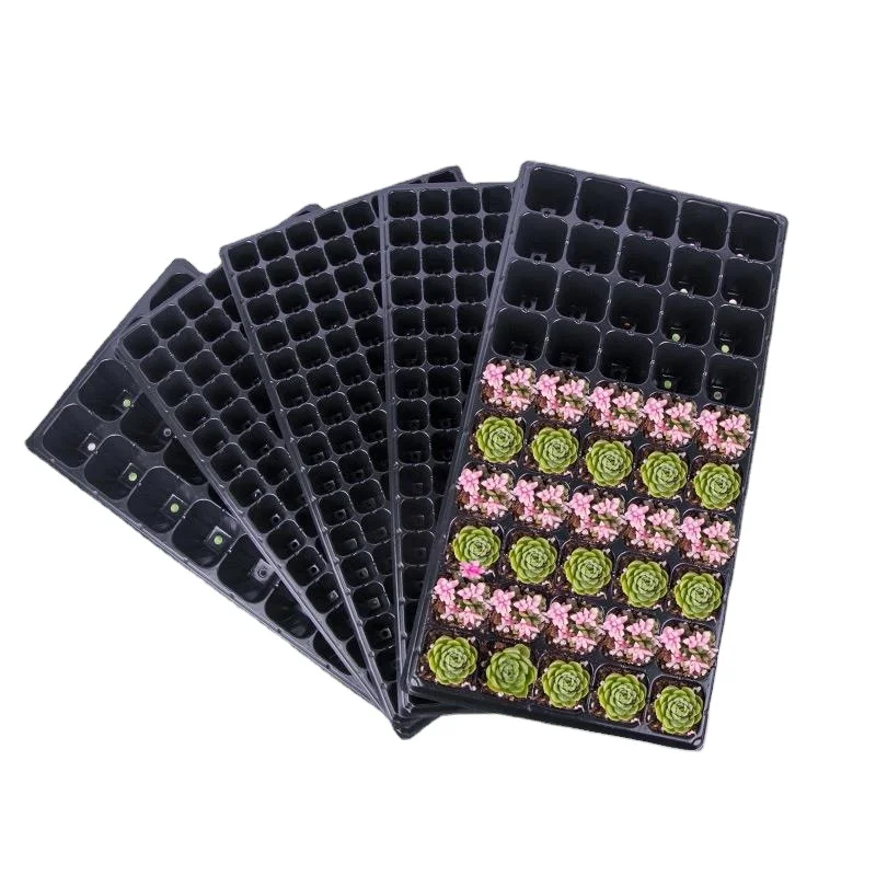 Wholesale PET Seedling-raising Plate the Cultivation Indoor Plant Trays