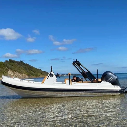 
Liya 660cm rib boat with arch center console rib boat with cupbase 