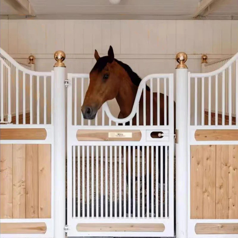 HDG Surface Equine Products horse box door equine stalls Horse Box Horse Stable with Hinged Door