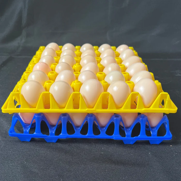 Plastic High quality foldable baskets 360 chicken eggs / box chicken eggs transport basket Storage box for sale