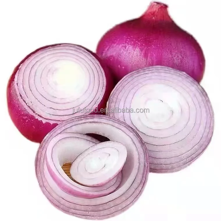 Chinese hot sale real fresh onion