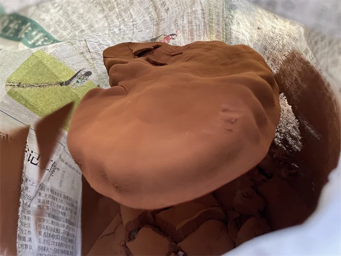 Organic Pure Lucidum Spore Oil Reishi Mushroom Spore Oil Supercritical Extraction reishi extract