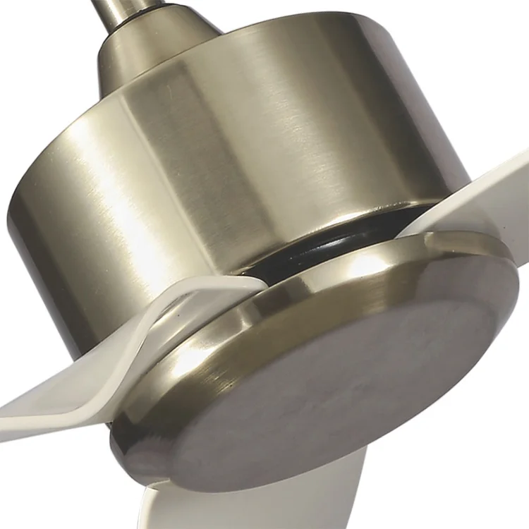 Modern AC ceiling fan simple  style without led light
