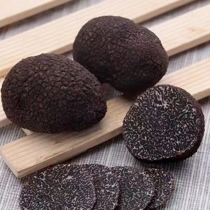 truffle Edible mushroom truffle mushrooms