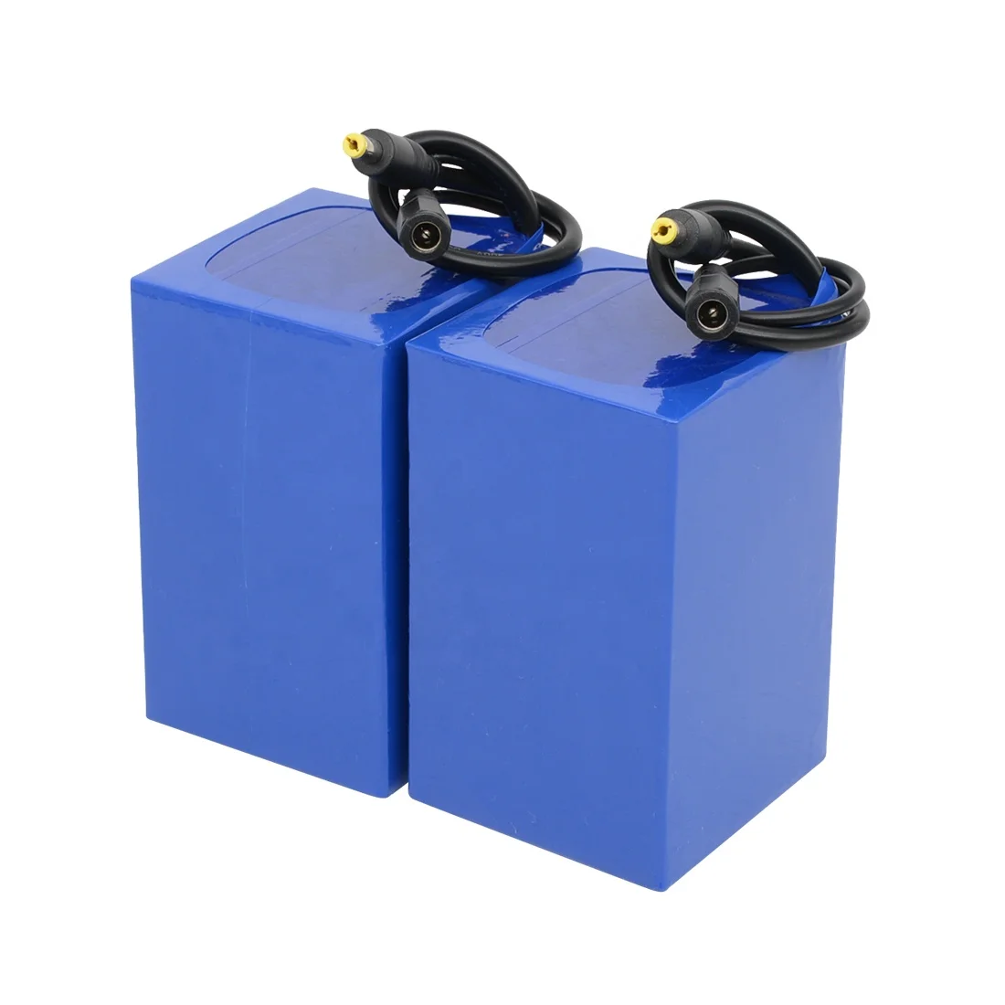 Wholesale Custom Rechargeable 12V 24V 36V 48V Lithium Ion Battery Cells 18650 Battery With Charger Plug