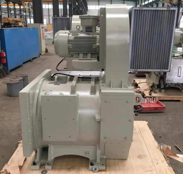 DRILL RIG ELECTRIC MOTOR