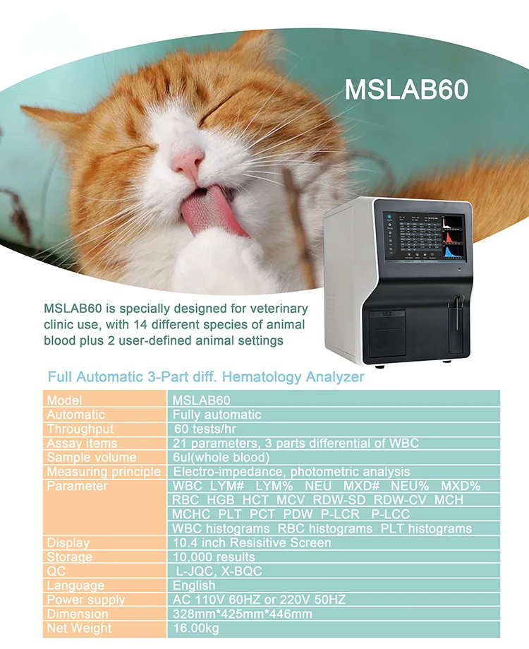catalog-vet.jpg