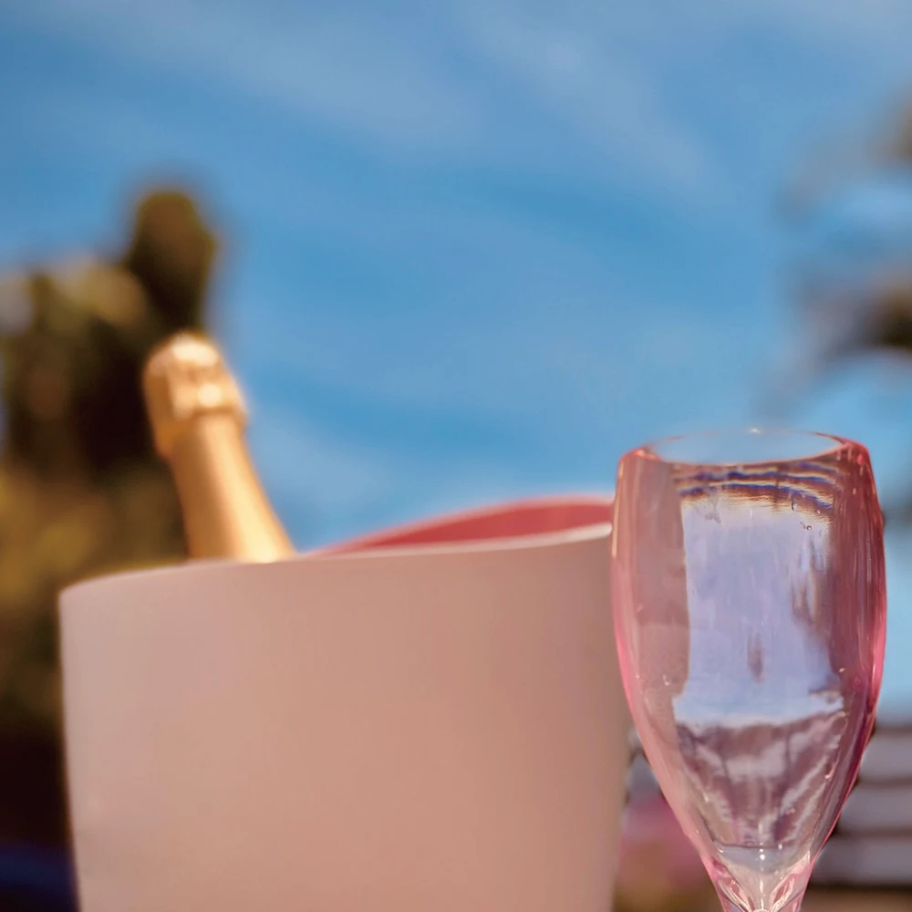 BPA Free Unbreakable White Plastic Wine Glasses Champagne Flutes Acrylic Red Wine Glasses