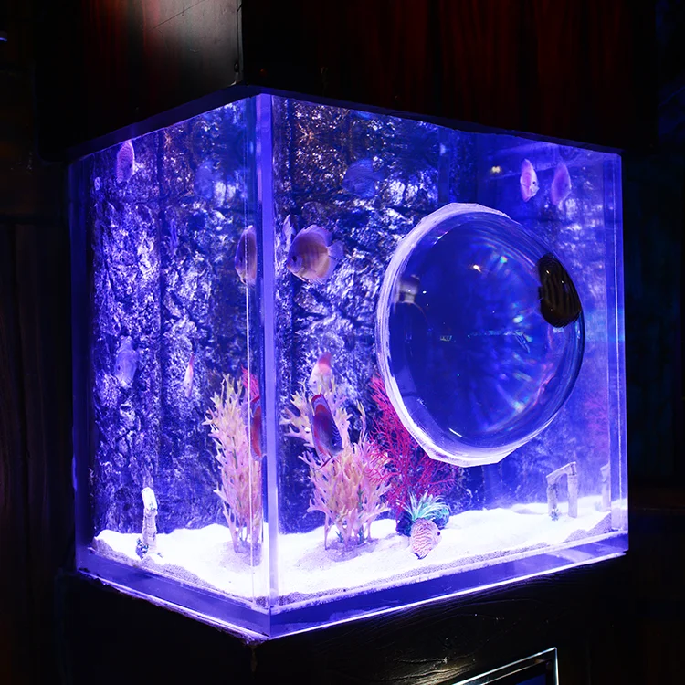 PMMA Vertical Acrylic Aquarium Tanks For Sale, Various Shape Special Acrylic Jellyfish Aquarium@