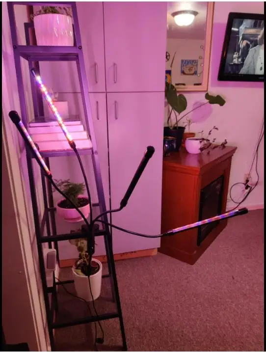 Wholesale Four Head Usb 18W 36W 50W Vertical Farming Hydroponic Flexible Clip On Phyto Fito Lamp Led For Plants Seedlings Flower