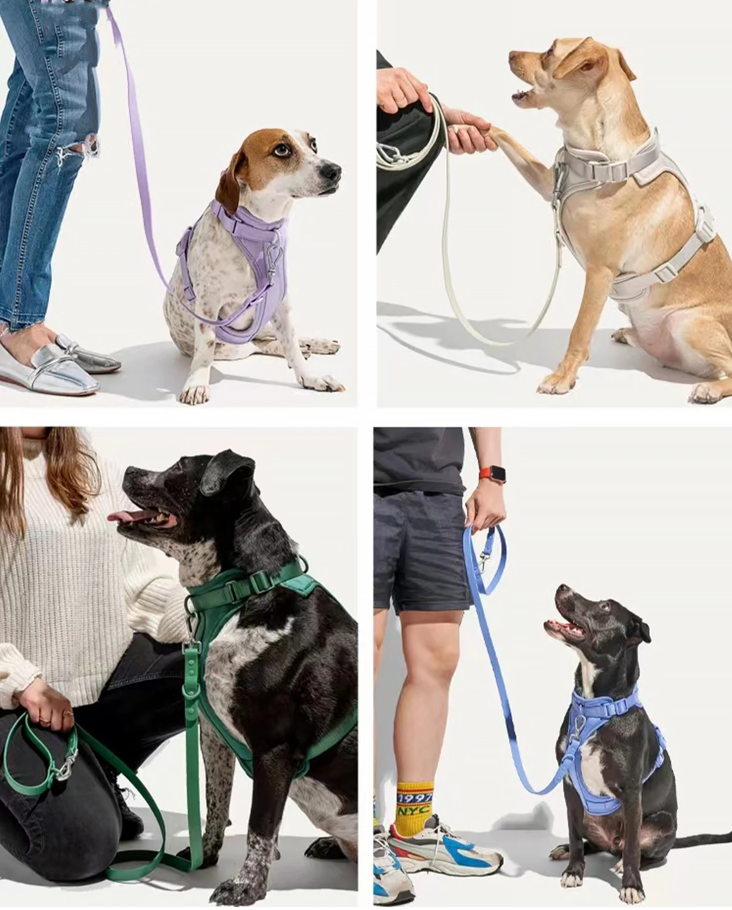 Logo Custom Luxury Waterproof Neoprene PVC 3 in 1 Pet Walk Kit Dog Harness Set Adjustable Soft PVC Dog Leash and Collars Set