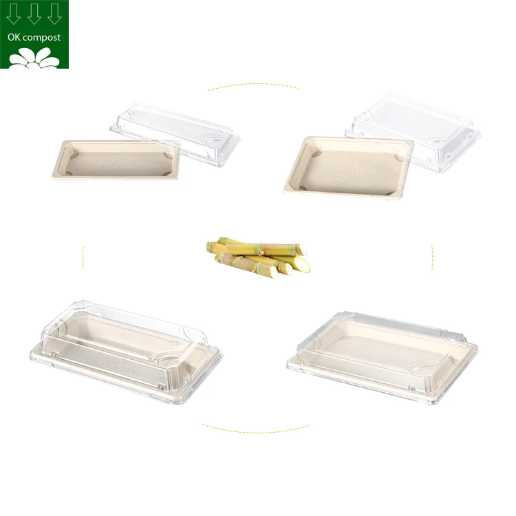Custom Sugarcane Bagasse Disposable Eco Friendly Sushi Packaging Dish Sugar Cane Food Plate Coated Tray With Dome Lid
