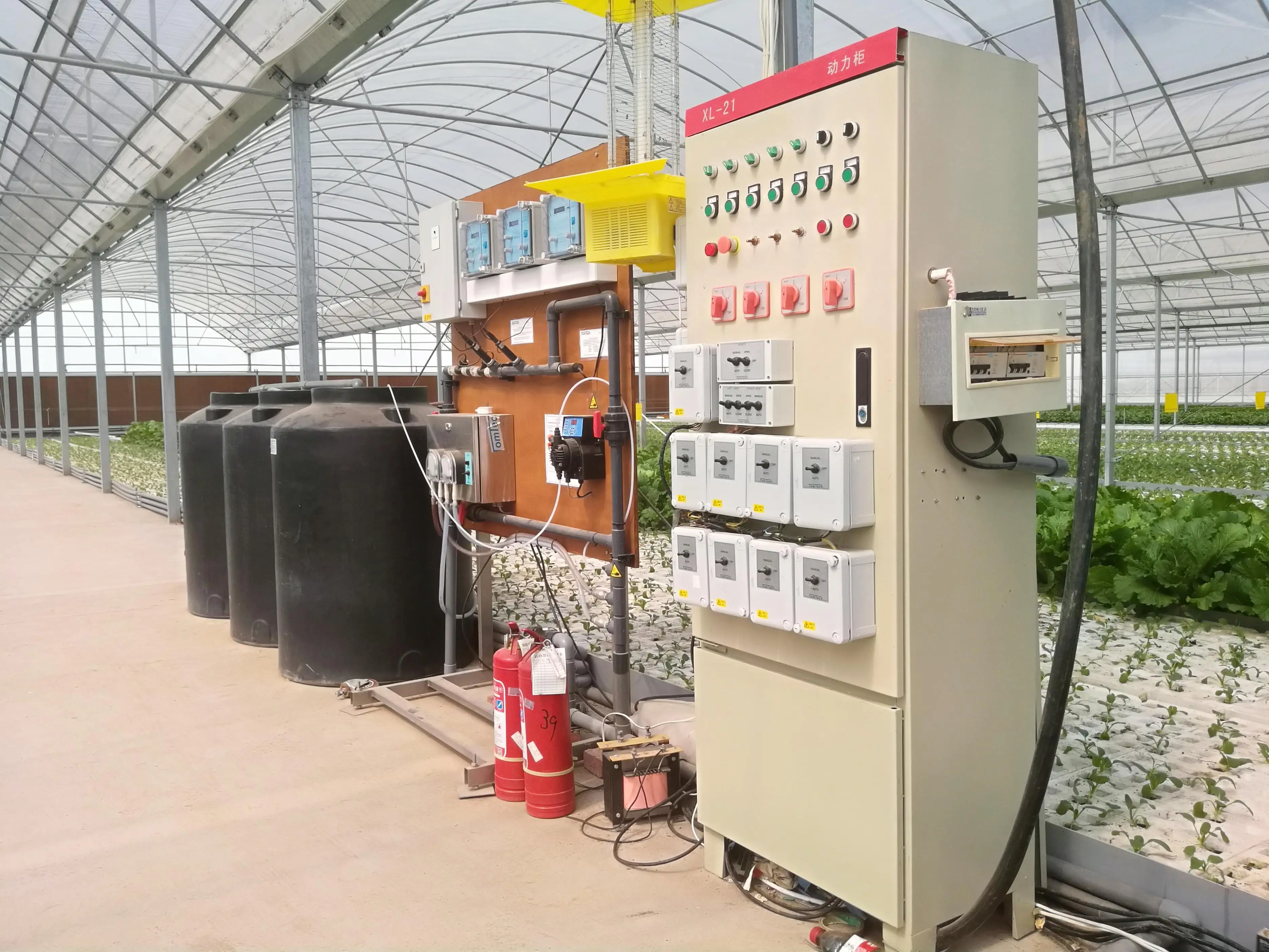 Tropical Plastic Film Multi Span Greenhouse With Galvanized Steel Frame