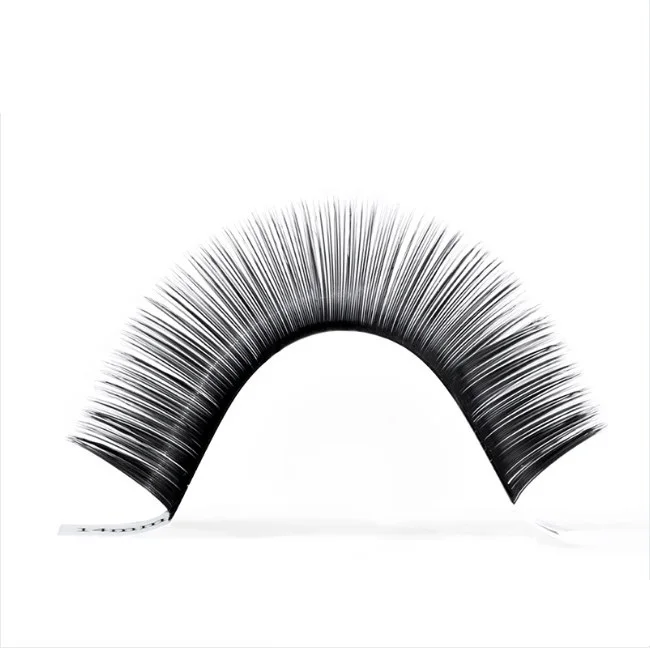 High Quality Handmade Volume Lashes Volume Eyelash Extension Korean PBT Fibers Fake Eyelash CD Curl  Matte Black Lashes