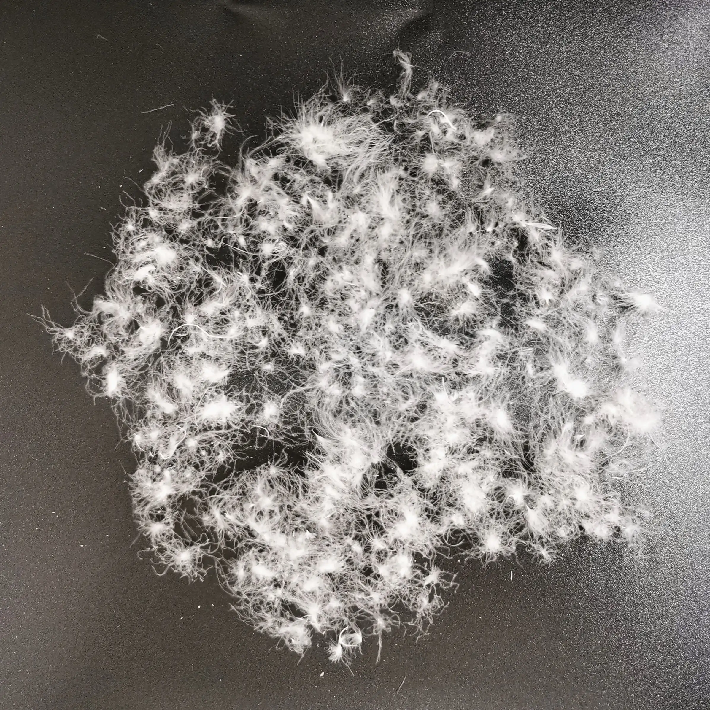 
Soft Clean white wash duck down feather for down bedding 