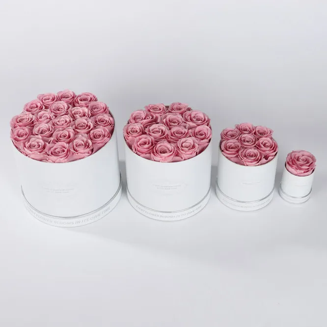 2024 hot selling Flower Gift  Lasting Real Everlasting Immortal Decor Dried Forever Eternal Preserved Rose in Box