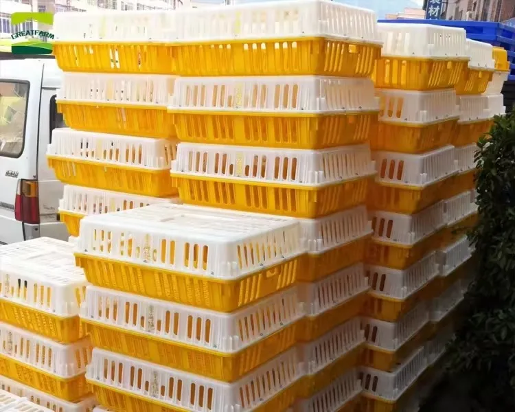 2025 Hot Selling Animal & Poultry Husbandry Equipment Chick Transport Box for Layers Broiler Chickens