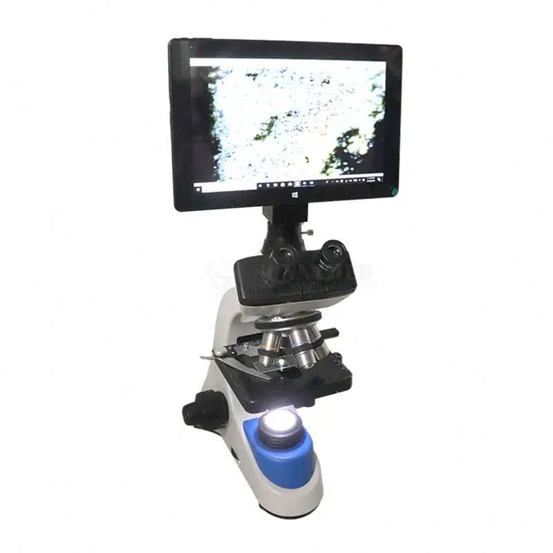 SY-B129F2 High Quality China Microscope Biological Laboratory Magnification 40X-1000X Binocular