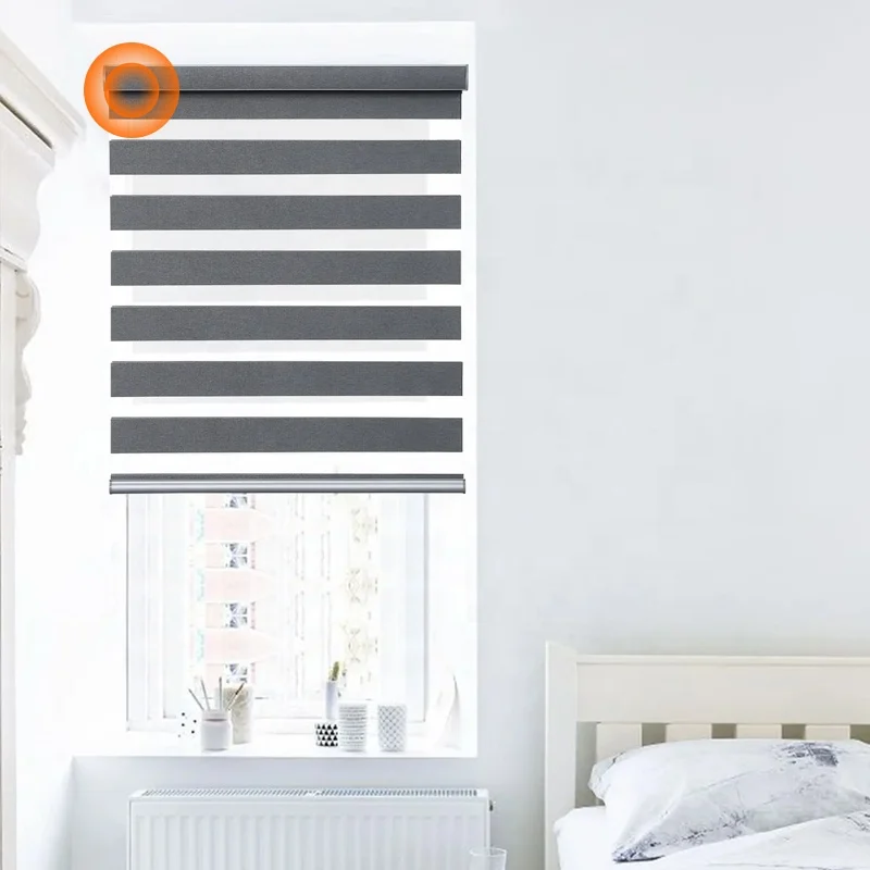 Magic Screen Roller Blind Curtain Motor Blinds Shade Driver Remote Control Roller Blind Motor with Tuya Wifi