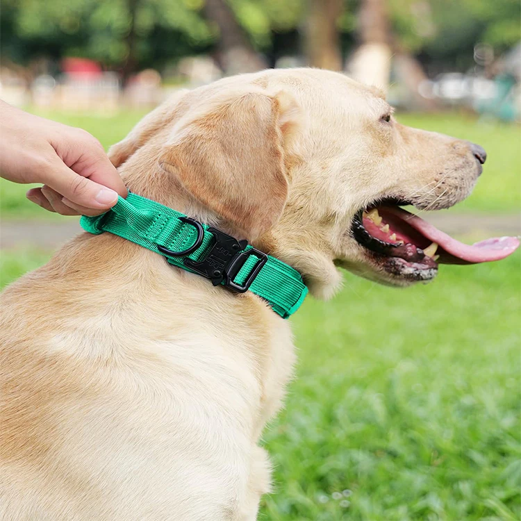 QQgift custom luxury Tactical Dog Collar and Leash Set with Quick Release Buckle Adjustable Training Dog Collar with Handle