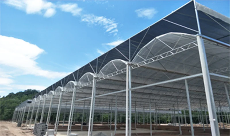 multi span film green house greenhouse structure commercial used greenhouse frames for sale
