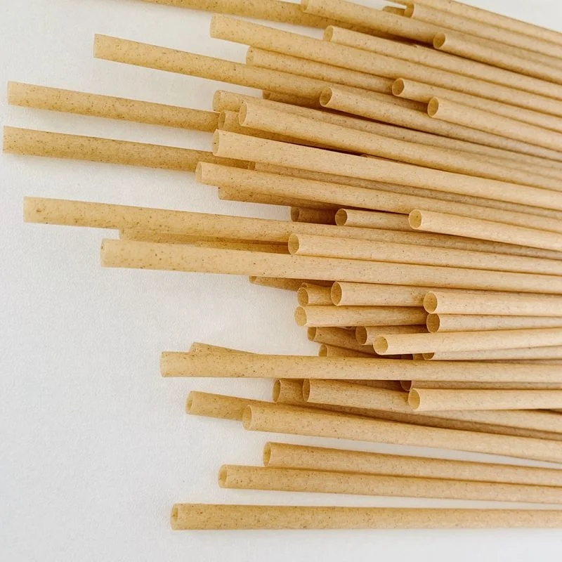 Hot Sale Compostable Biodegradable Fashion Ecological Sugar Cane Straws Sugarcane Bagasse Paper Pulp Straw
