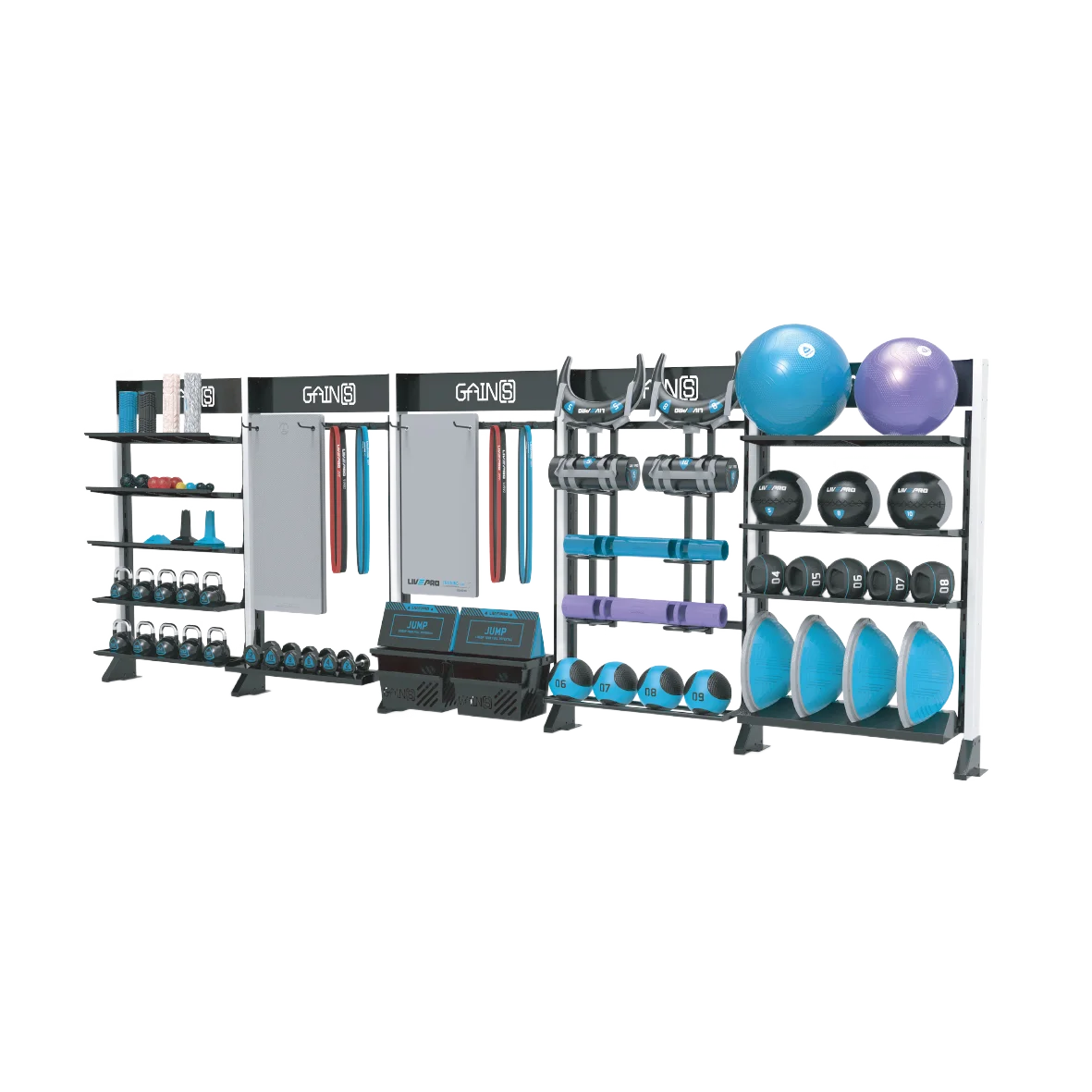 LIVEPRO GYM Commercial Storage Rack with Bulgarian Power Bag Multifunction Gym Fitness Storage Rack for Medicine Wall ball