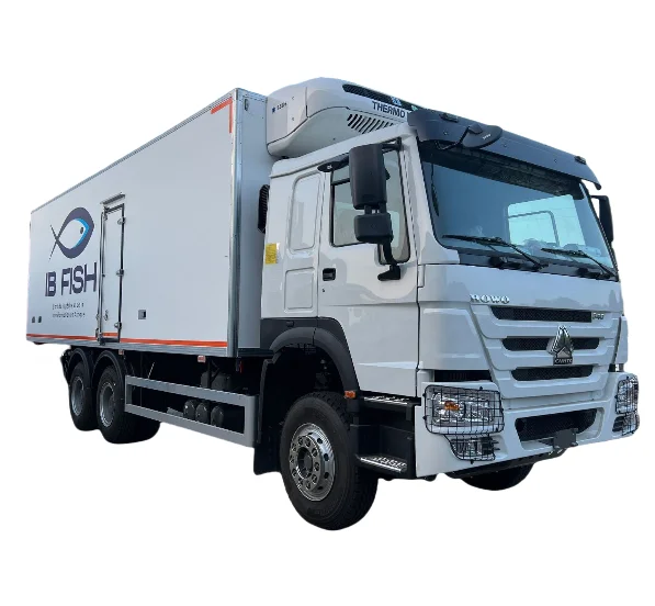 HOWO 6x4  20 Ton New or Used Light Duty Refrigerated Box Van Refrigerator Truck for Sale