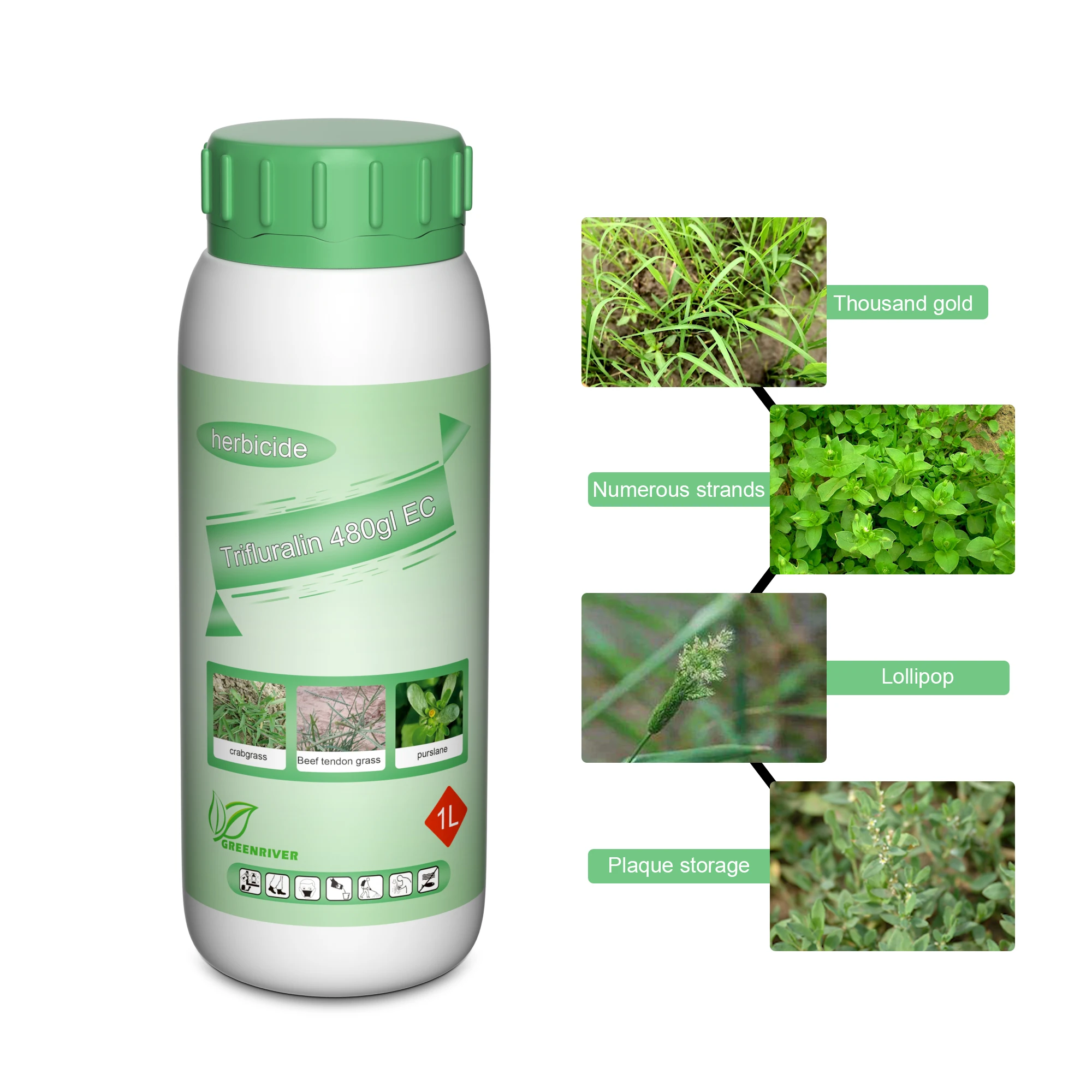 Trifluralin 48%EC, 1582-09-8, Trifluralin 480g/l EC herbicide Agrochemical