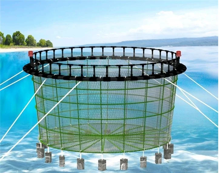 Hdpe Material Deep Sea Fish Net Farming Cage For Tilapia commercial fish traps