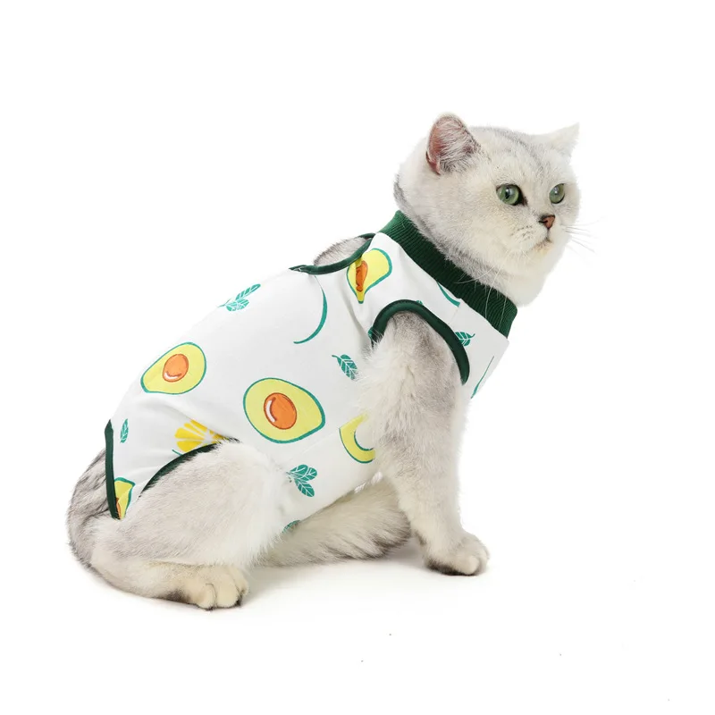 cat recovery suit (11).jpg