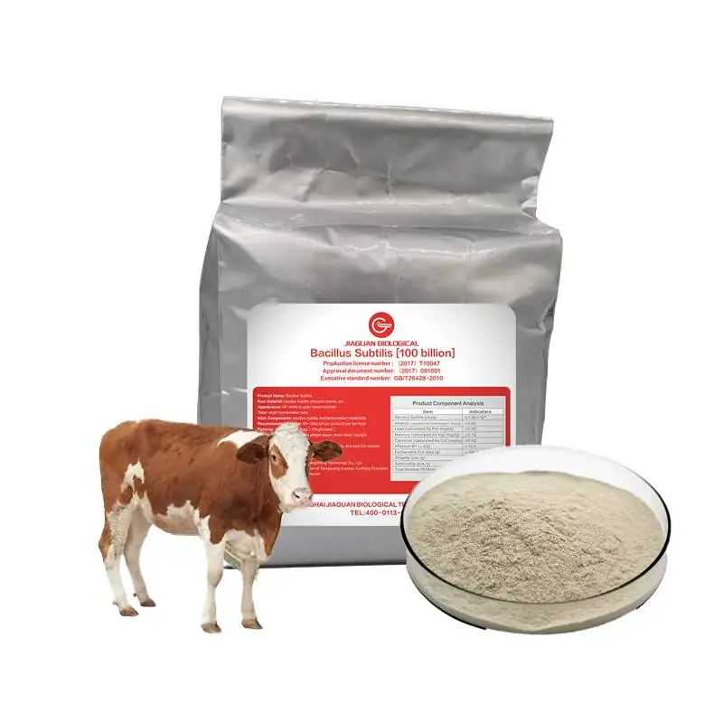 Best Quality China Manufacturer Supply Bacillus Coagulans To Mixed Feed Additive Bacillus Coagulans For Aquaculture Farming