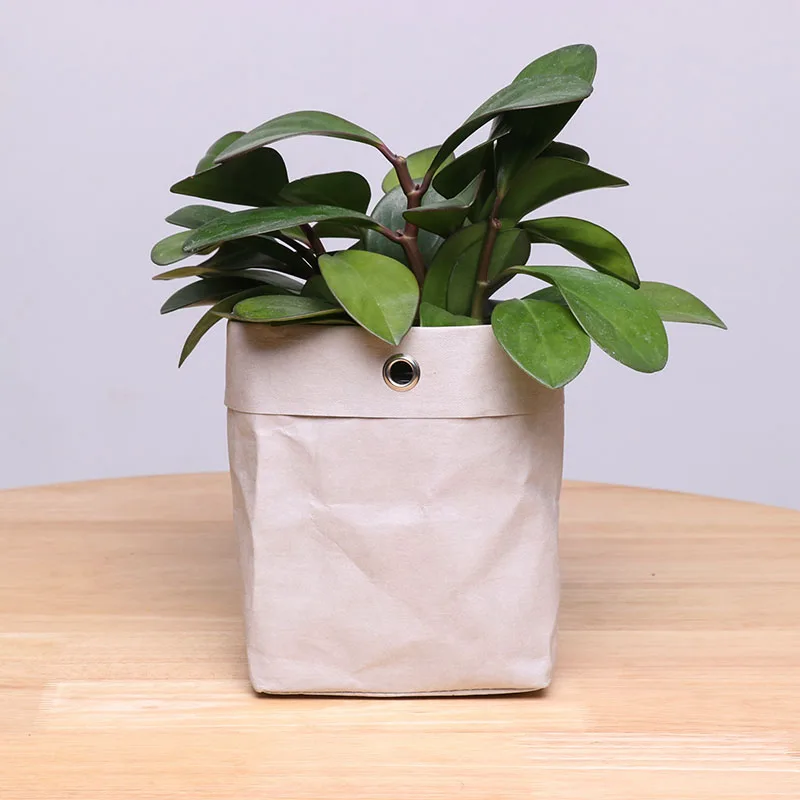 Custom Waterproof Washable Collapsible Storage Box Bucket Reusable Plant Flower Pots Nordic Tyvek Kraft Paper Bag Box