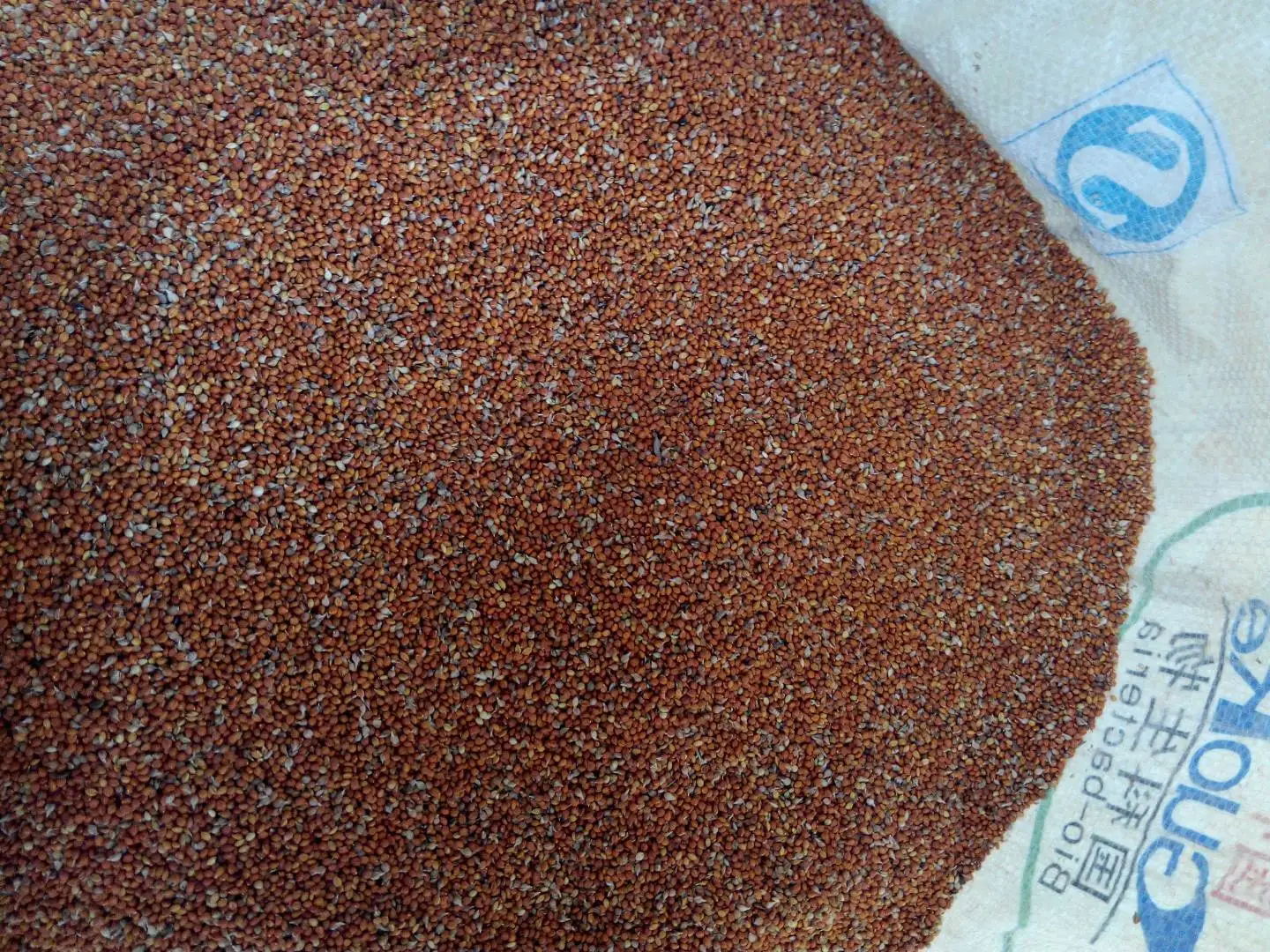  Оптовая продажа красный лисий хвост пса/красный ПСО в шелушке для корма