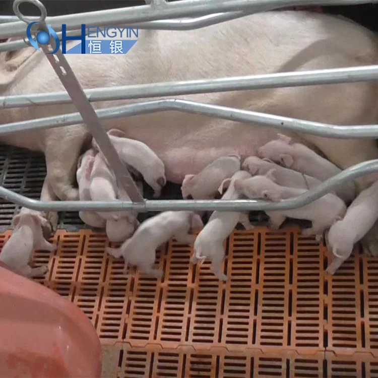 Factory Direct Sale OEM  Massive production sample free plastic slatted floor for goat sheep farming plastic floors for pigs