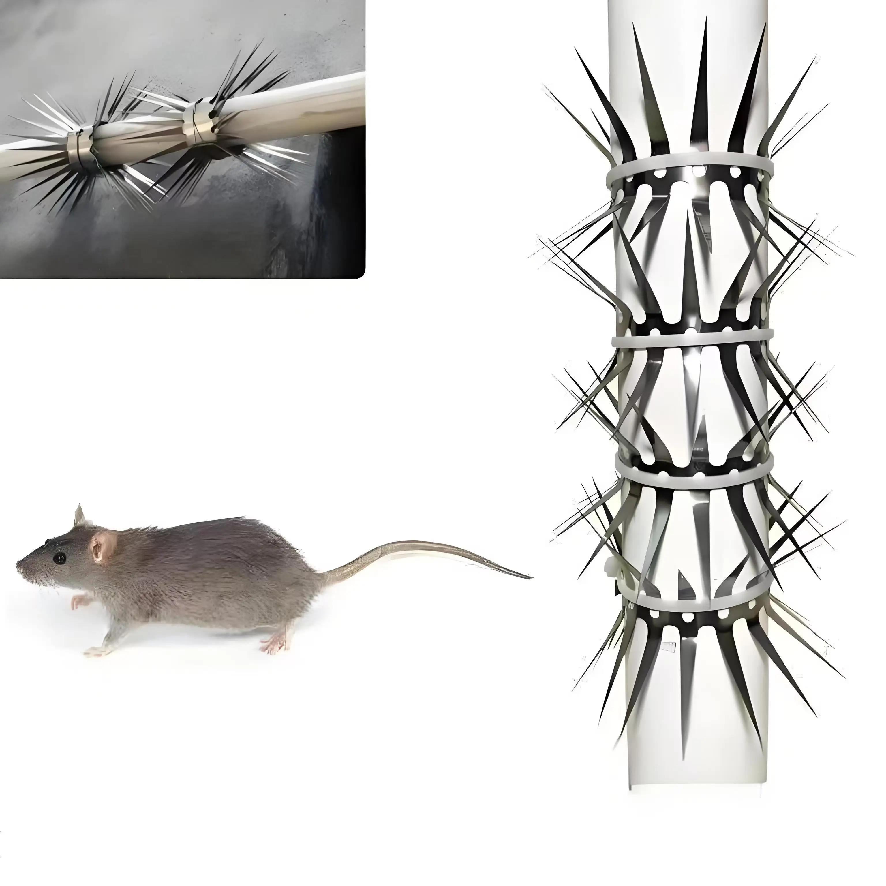 Stainless Steel Spikes Anti Squirrel Cat Mouse Snake Climb Guard Security Spikes