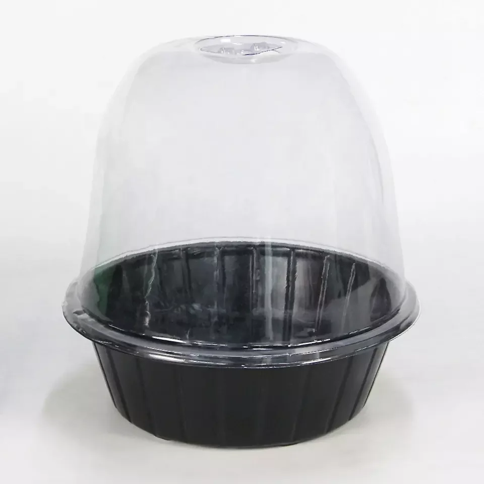 Garden Cloche Plant Bell Cover Dome Seed Cloche Planting Container Humidity Adjustable Plant Cloche for Vegetables Seedling
