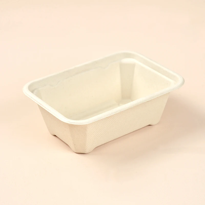 Free Samples Compostable Paper Pulp Lunch Box Disposable Bagasse Pulp Takeaway Food Container With Lid