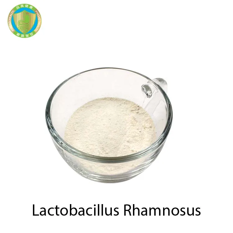 Best Quality Wholesale China Suppliers10billion CFU/g Food Grade Probiotic Powder Lactobacillus Rhamnosus