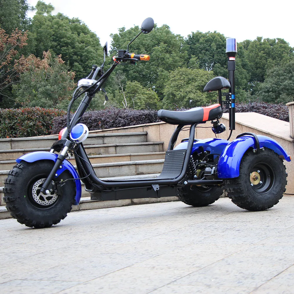 3 wheel trike CE citycoco electric electric scooter  for adult passenger and cargo carry  Electric tricycle