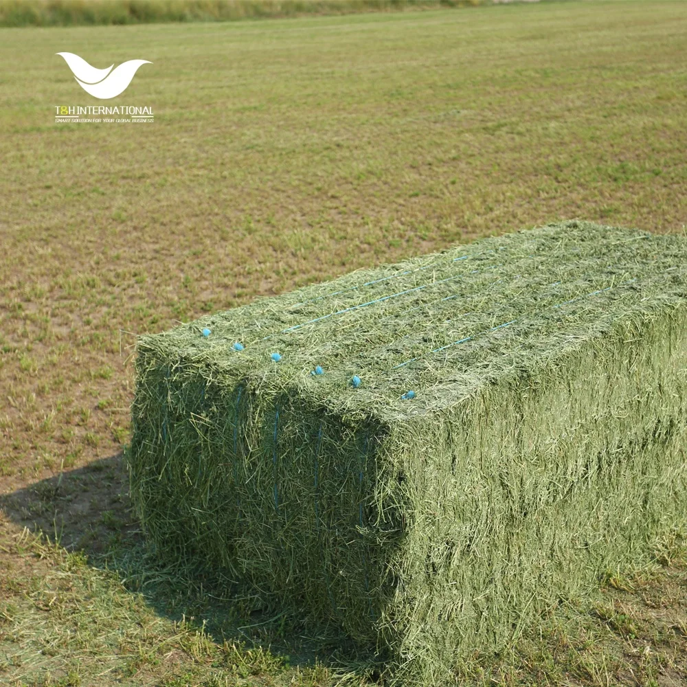 Smart Solution For Your Hay and Forage Baler Twine manufacturer