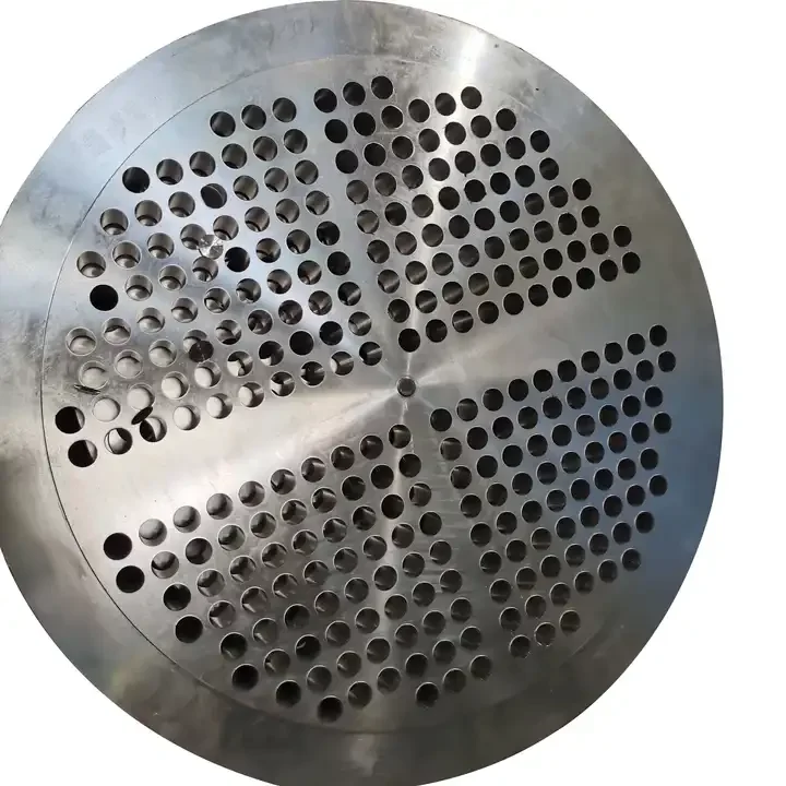 Large Diameter Stainless steel Tube Sheet Flanges Forged Baffle Flanges