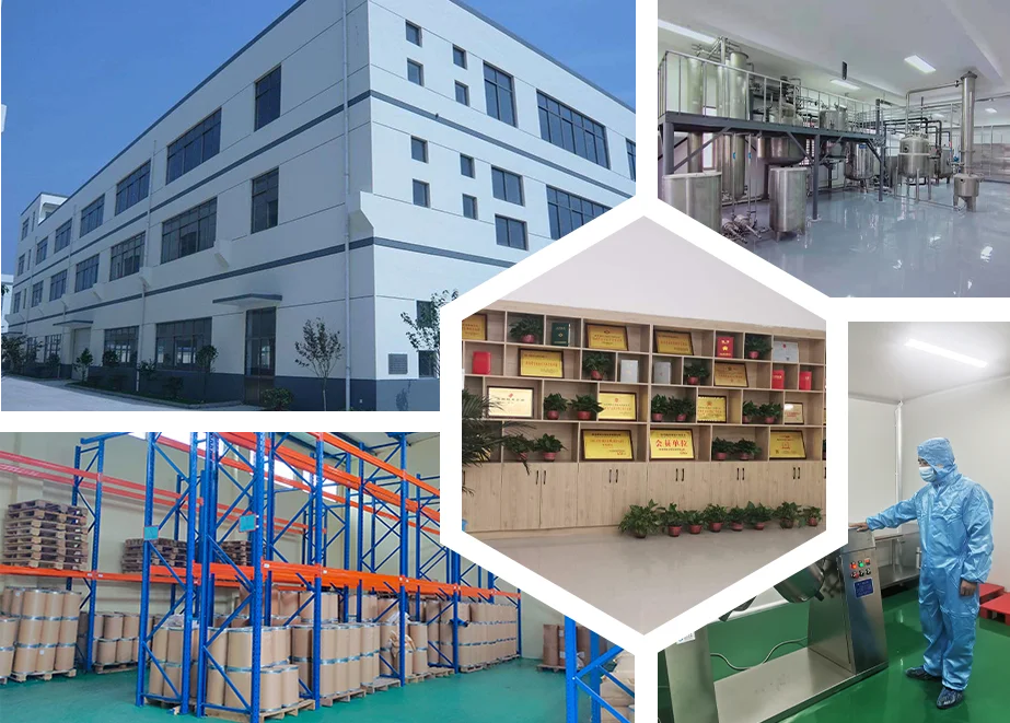 Food Grade 100% Purple Pigment Purple Carrot Powder For Beverage