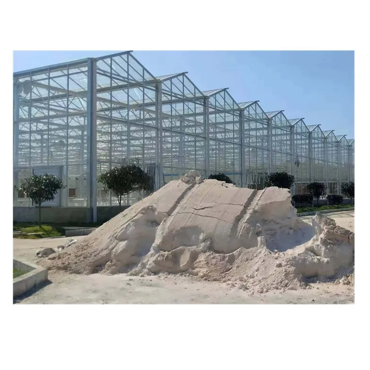 Venlo glass greenhouse used tempered glass or armored toughened glass