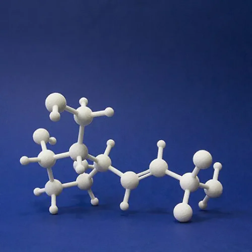Organic Chemistry Molecular Models Kits With Atoms Bonds sla/sls/slm 3d printing service for students and teachers in school