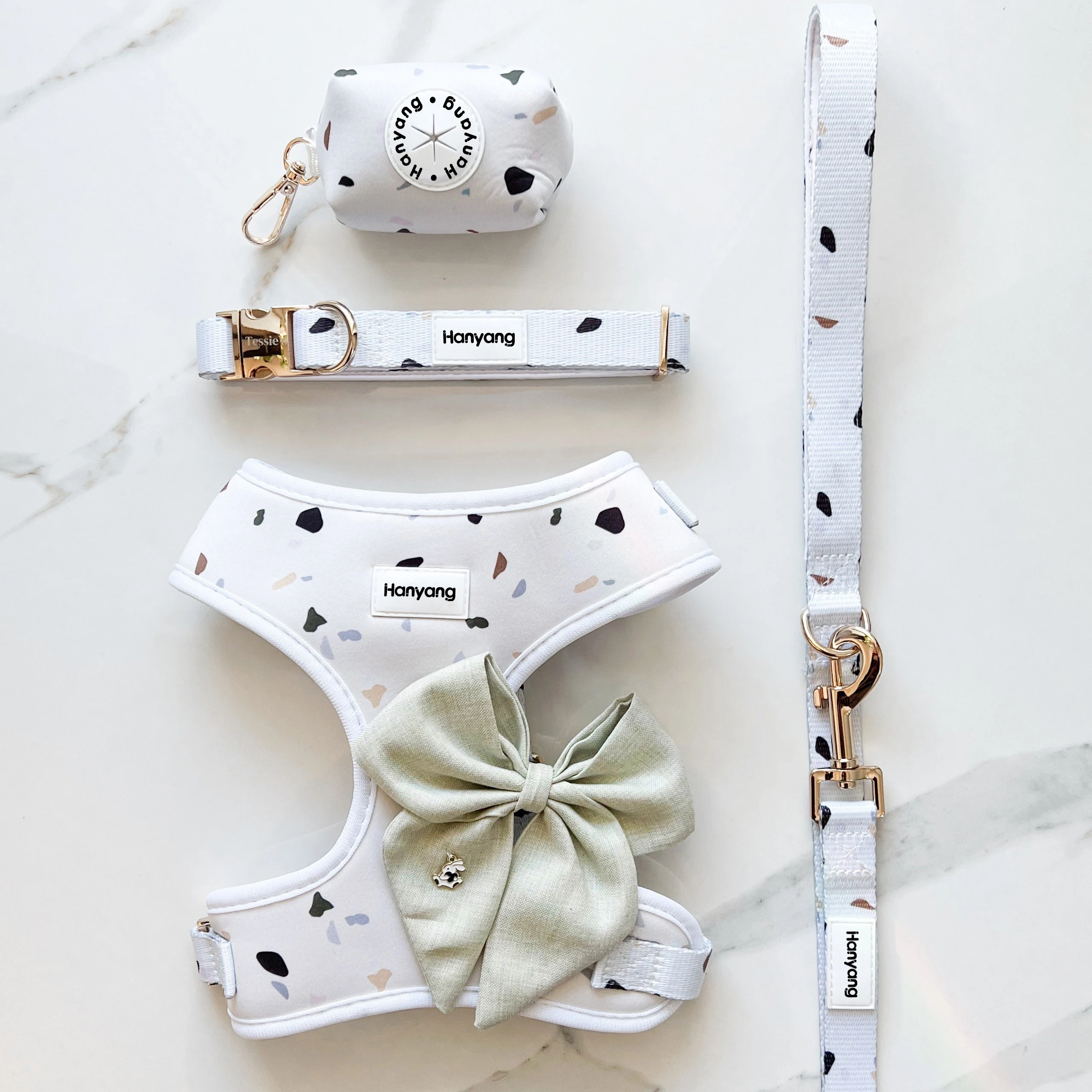 2022 товары для домашних животных, индивидуальный OEM/ODM комплект жгутов для собак с принтом, индивидуальная жгута для собак с подходящим ошейником и поводком