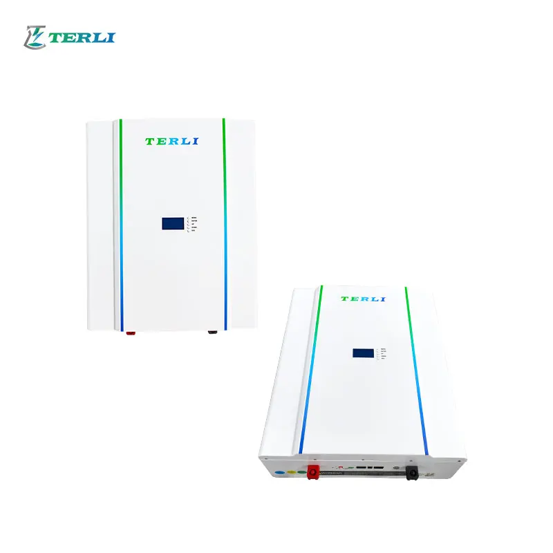 14Kwh Powerwall 220 V Europe Stock De 10Kw Lifepo4 Battery Inverter 48 110 Solar Ivertor And Storage System 48V 2 In 1