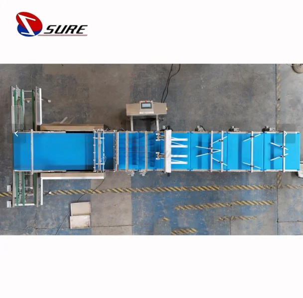 Biscuit Cookies Feeding and Packaging Line Automatic Feeding and Packing Line Automatic Production Line for Cake Packing Machine