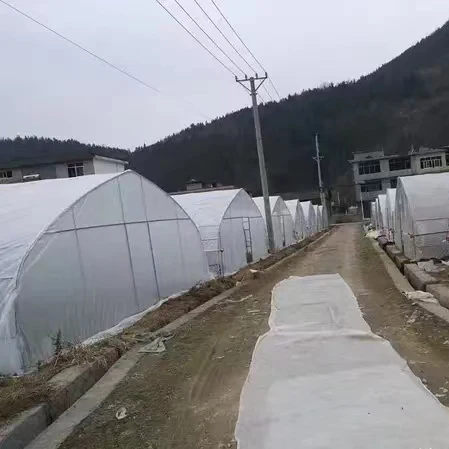 Good Quality And Easily Installed Agricultural/Commercial Green House Greenhouse